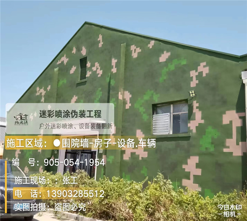 滨海外墙数码迷彩漆施工报价清单（100㎡标准墙面测算）